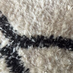 Meet your Posher, Lamartine